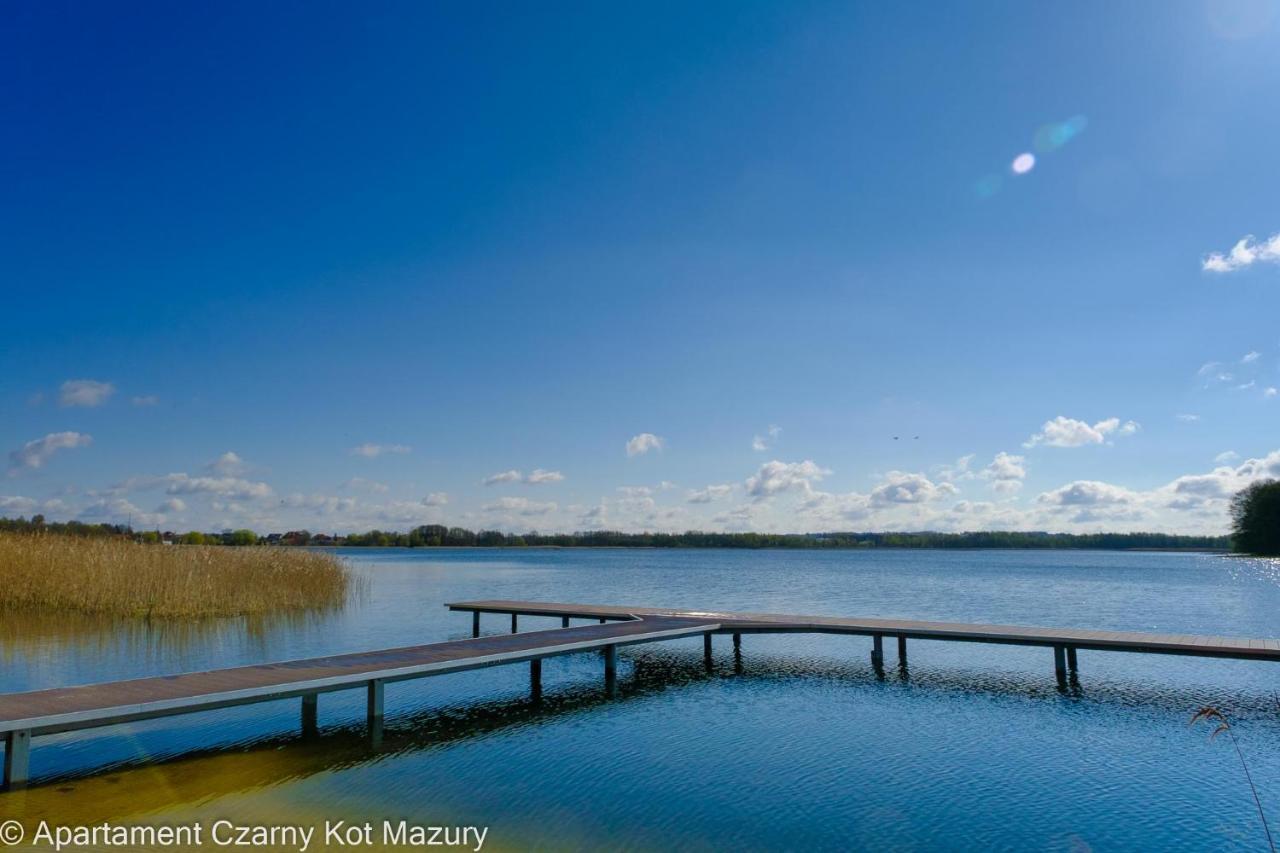 Czarny Kot Mazury Dom Caloroczny Malkinie