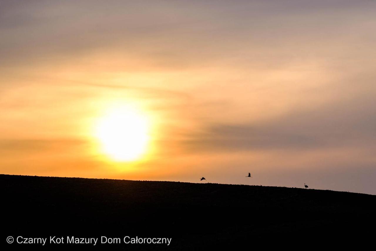 Prázdninový dům Czarny Kot Mazury Dom Caloroczny Malkinie